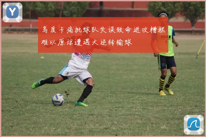 乌度卡痛批球队失误致命进攻糟糕难以原谅遭遇大逆转输球