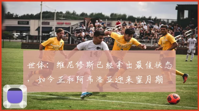 世体：维尼修斯已经拿出最佳状态，如今正和阿韦洛亚迎来蜜月期